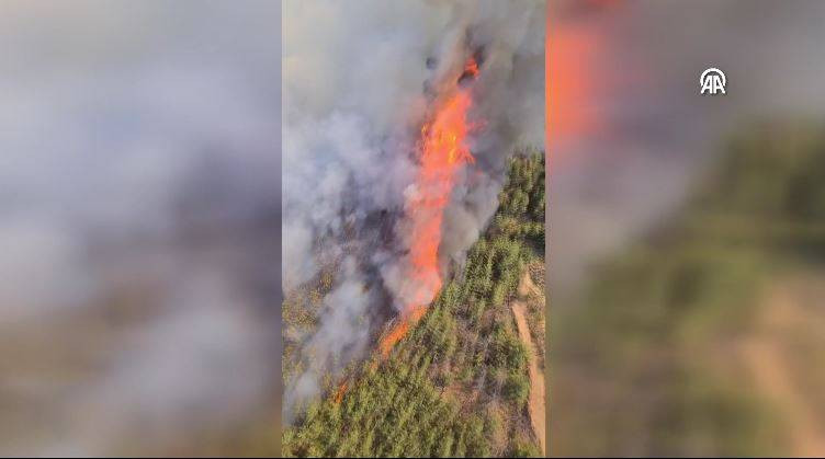 Aydın’ın Çine ilçesinde orman yangını - Resim: 8